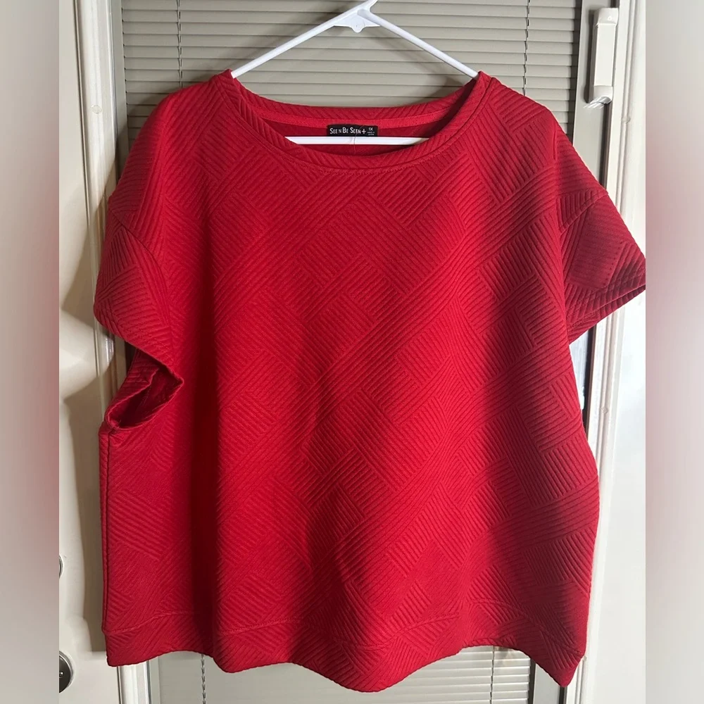 See and Be Seen Red Textured Women's Top 1X - Picture 1 of 4